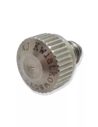 Dysza zamgławiająca niskociśnieniowa 0,2 mm stal nierdzewna SS304