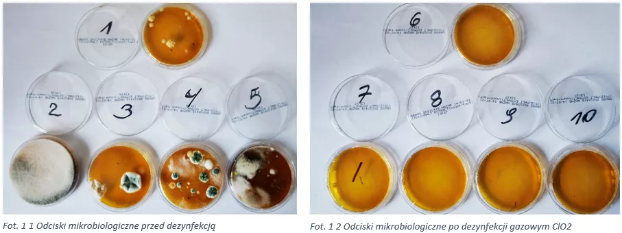 Odcisk mikrobiologiczny